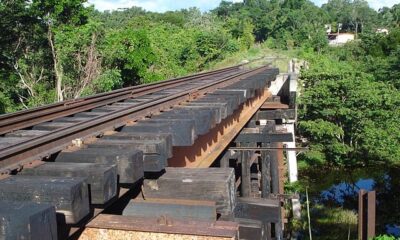 Van contra los «ratas»