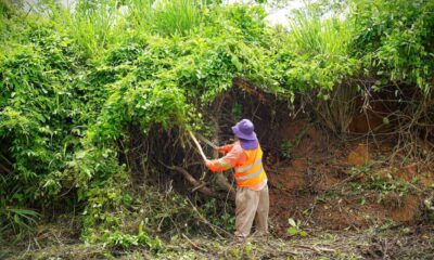Ornatos, Parques y Jardines mantiene limpieza permanente de cada espacio público de Cosoleacaque.