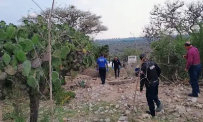 Muerte simultánea de 15 vacas desconcierta a ganaderos de Paso del Macho