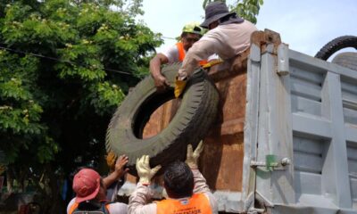 Gobierno de Cosoleacaque y el sector salud unen esfuerzos para combatir el dengue.