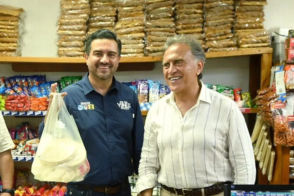 PAN expulsa a Miguel Ángel Yunes Márquez y Yunes Linares por votar a favor de reforma judicial