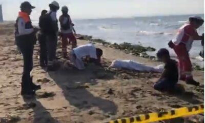 Apareció segunda persona ah0g@da en Coatzacoalcos; m6rió junto a su sobrina