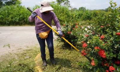 El H. Ayuntamiento de Cosoleacaque da mantenimiento permanente a los espacios públicos.