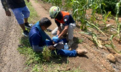 Dos l3s!on@d0 por d3rrap@ en moto sobre la carretera Costera del Golfo.