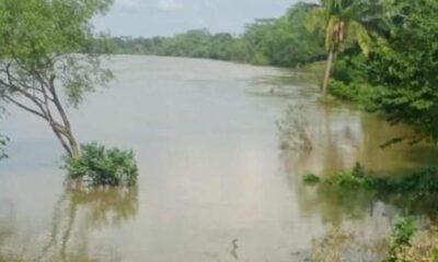 Hondureño mur!ó ah0gado en Las Choapas