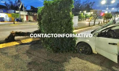 Dama termina l3sionada tras impact@r su unidad contra un árbol en Minatitlán.