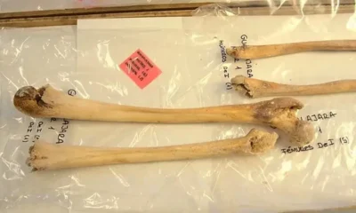 Confirman hallazgo de los restos de Cristóbal Colón