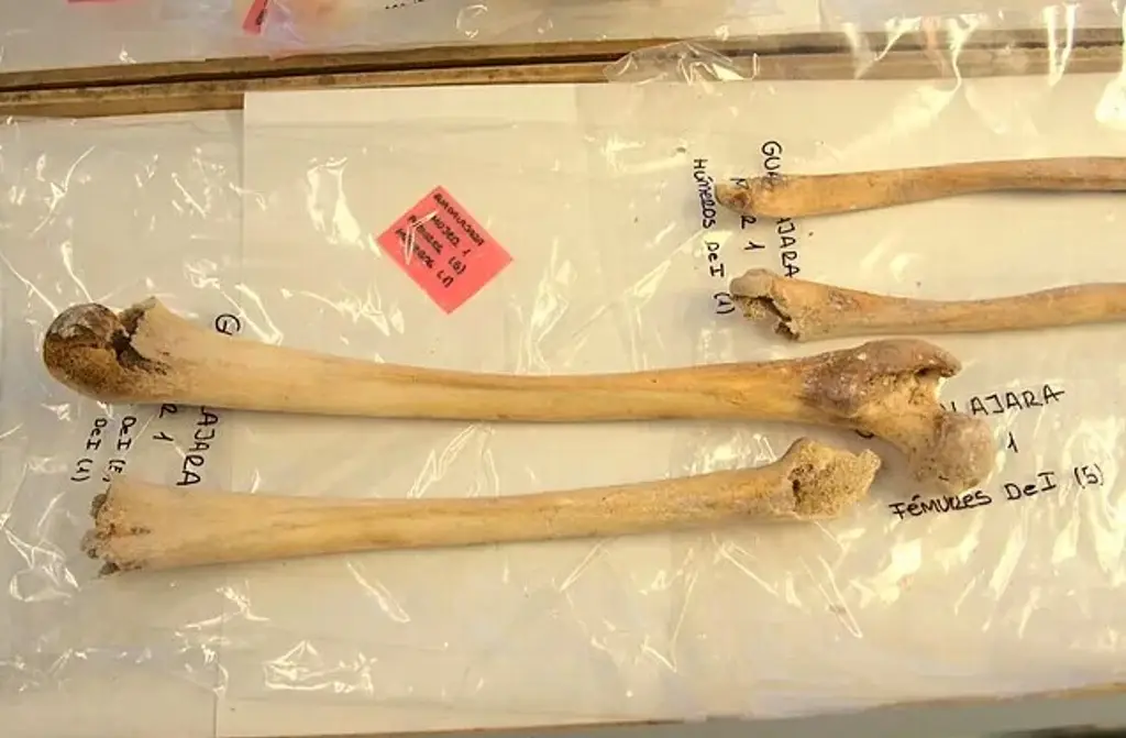 Confirman hallazgo de los restos de Cristóbal Colón