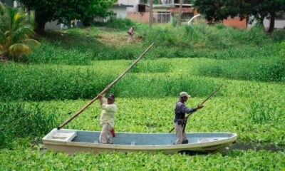El H. Ayuntamiento de Cosoleacaque efectúa labores de limpieza en la colonia Infonavit.