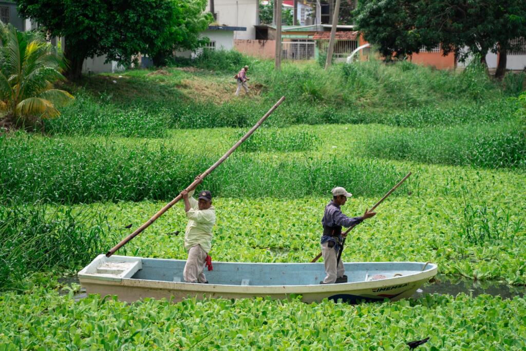 El H. Ayuntamiento de Cosoleacaque efectúa labores de limpieza en la colonia Infonavit.