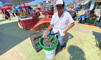 ¡Se acaban las nacaras en Minatitlán!