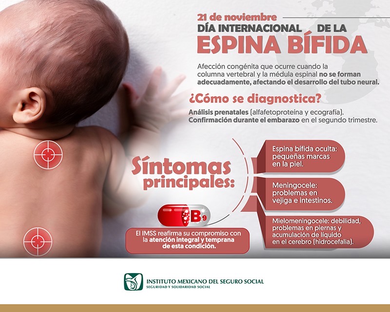 Exhorta IMSS Veracruz Sur a embarazadas a consumir ácido fólico