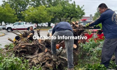 Daños en Minatitlán por paso del frente frío número 14