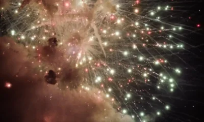 Prohíben uso de pirotecnia en este municipio de Veracruz para proteger a los animales