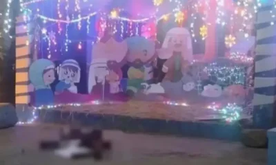 Dejan a d3sm3nbrad0 en el pesebre del nacimiento