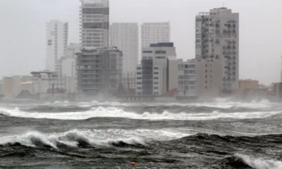 Prevén viento del norte con rachas de hasta 80 km/h en Veracruz ¿Cuándo?