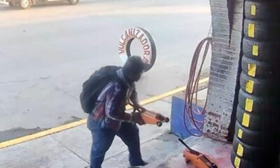 VIDEO |  L4drón se llevó “un gato” y quedó grabado en video