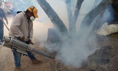 El H. Ayuntamiento de Cosoleacaque mantiene acciones contra la plaga Achaira Pauper.