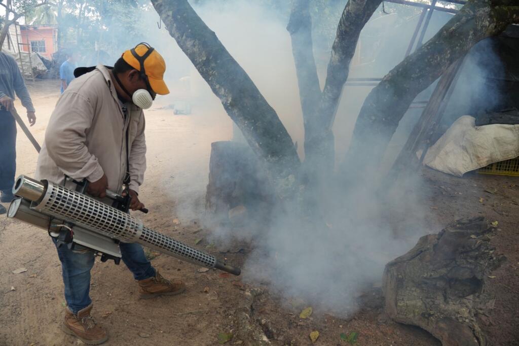 El H. Ayuntamiento de Cosoleacaque mantiene acciones contra la plaga Achaira Pauper.