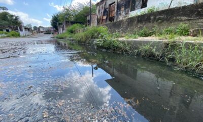 (+VÍDEO) En la colonia Buenavista Sur, inundados con aguas n3gr@s de drenaje desde octubre de 2024; la autoridad hace caso omiso
