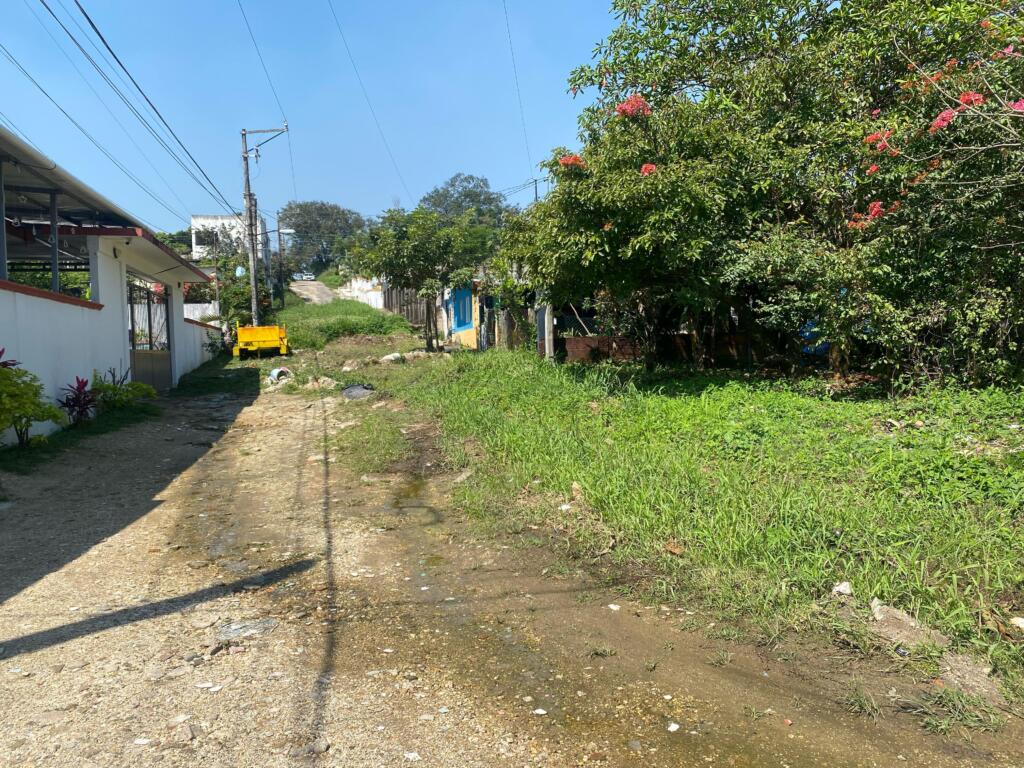 (+VIDEO)*Vecinos de la colonia Miguel Hidalgo denuncian abandono de la calle 20 de noviembre*