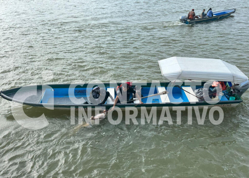 Nadie reclam@ cu3rp0 de individuo localizado en el río Coatzacoalcos