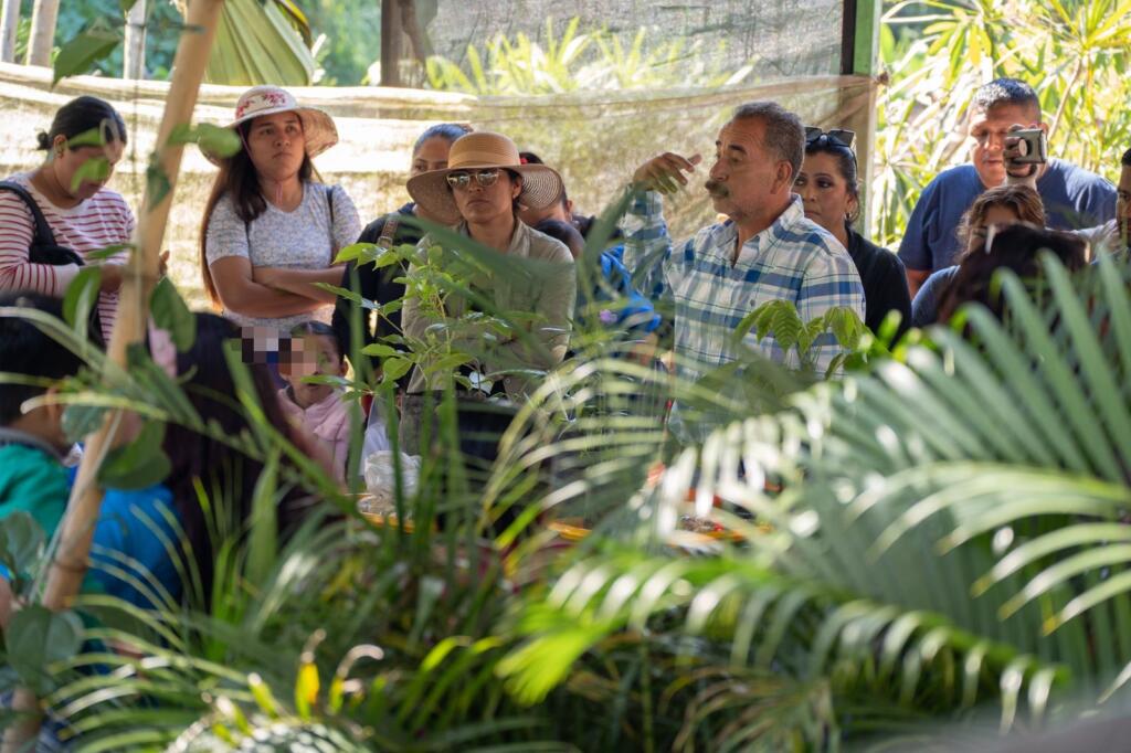 Alumnos del preescolar Jean Piaget exploran el vivero municipal de Cosoleacaque.