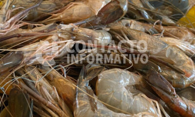 (+VIDEO)Vendedores de pescados y mariscos señalan nuevos incrementos en el costo del producto