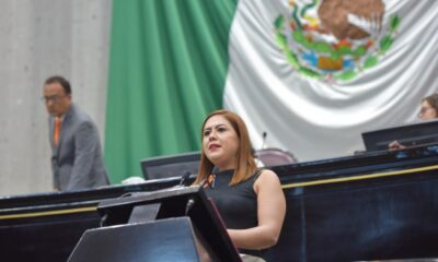 Propone PVEM incorporar Bienestar animal en la Constitución Política local