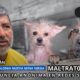 (+VIDEO) Vecino de Nueva Mina niega maltrat0 animal tras denuncia anónima en redes sociales