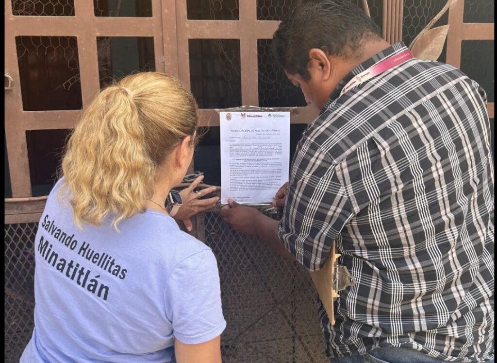 (+VIDEO)Con collar de esperanza: voluntarios y autoridades luchan contra el maltrato animal en Minatitlán