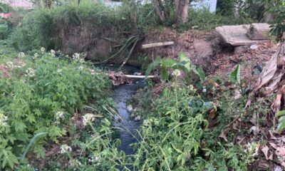 Grave foco de infección en colonia de Minatitlán; autoridades indiferentes ante el tema