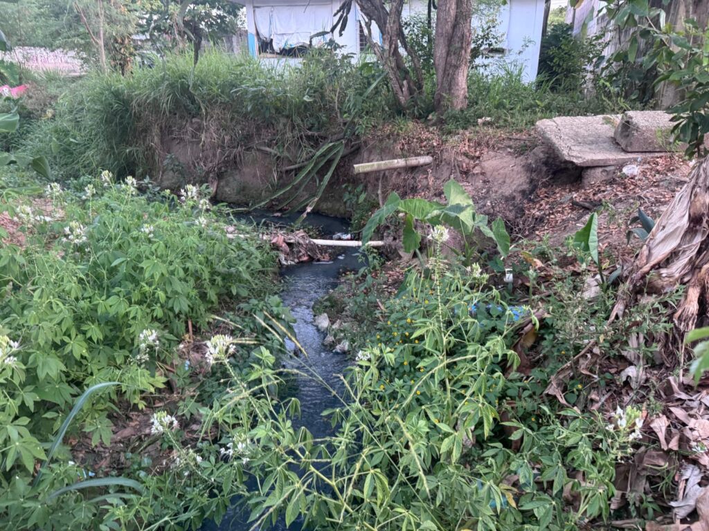 Grave foco de infección en colonia de Minatitlán; autoridades indiferentes ante el tema