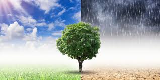 IMSS Veracruz Sur informa sobre afectaciones a la salud por el cambio climático