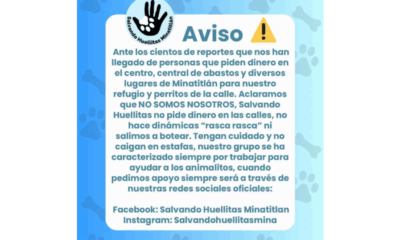 Alerta en Minatitlán: Usan el nombre de Salvando Huellitas para solicitar dinero de forma fraudulenta