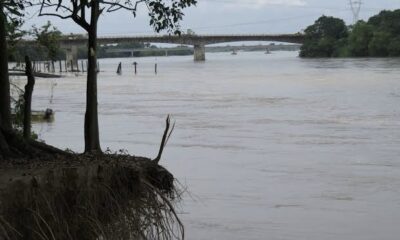 Cae tráiler a río Samaria; mu3r3 chofer y saquean mercancía nadando
