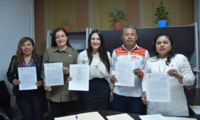 Queda instalada la Comisión Especial de Atención a la Citricultura