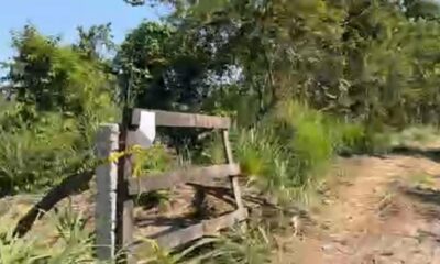 LOCALIZAN FOS4 CLAND3STIN4 EN JÁLTIPAN.