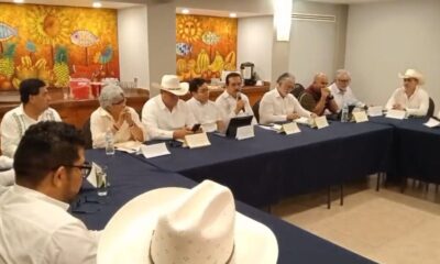 *Veracruz sigue con un caso confirmado de gusano barrenador, dos más están siendo analizados, todos en Las Choapas*