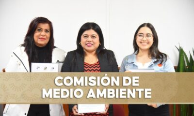 *Abierta, convocatoria para otorgar el premio al Mérito Ambiental 2025*