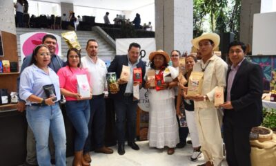 *Reconocen diputadas importancia y valor del café veracruzano*