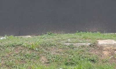 Hallan cab3za de una mujer en la carretera Coatzacoalcos – Villahermosa