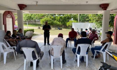*Felino ha mat4do vacas en el ejido Guillermo Prieto de Coatzacoalcos*
