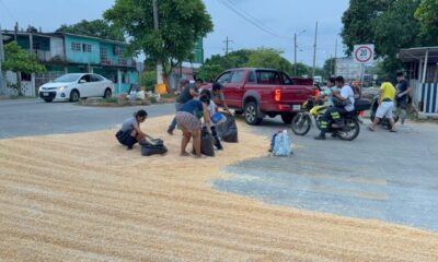 *Rapiñan maíz amarillo en la carretera ancha afuera de la ASIPONA de Coatzacoalcos*