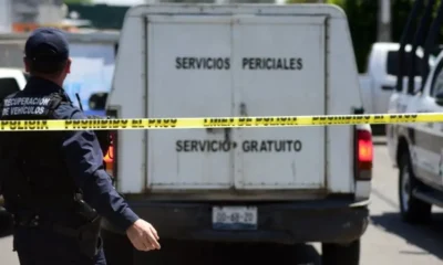 Hallan s!n v!da a maestra jubilada privada de la libertad en Álamo