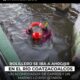 *Bolillero se iba a ah0g@r en el río Coatzacoalcos cuando se cayó del transbordador, un acomodador de carros y un marino lo r3sc@tar0n*