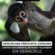 DENUNCIAN PRESUNTA CENSURA CONTRA DOCUMENTAL EN RADIO TELEVISIÓN DE VERACRUZ; INTERPRETACIÓN FUE MIOPE Y DESCONTEXTUALIZADA: PRODUCTORA