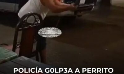 Policía g0lp3a a perrito con un palo hasta m@tarl0 en Oaxaca; fue destituido