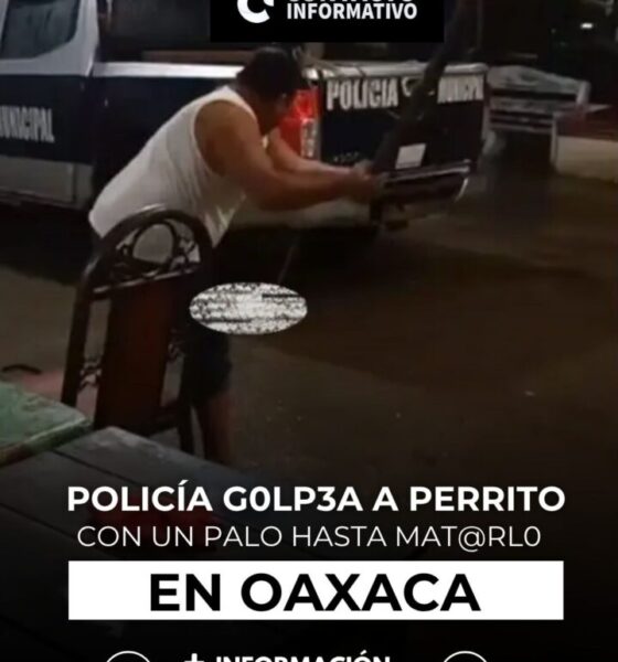 Policía g0lp3a a perrito con un palo hasta m@tarl0 en Oaxaca; fue destituido