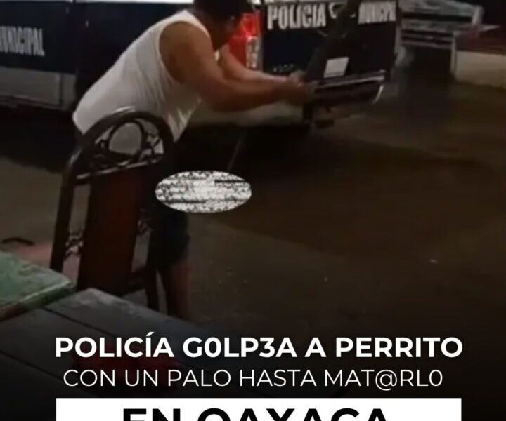 Policía g0lp3a a perrito con un palo hasta m@tarl0 en Oaxaca; fue destituido